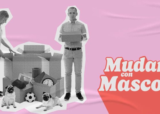 Mudanza con mascotas