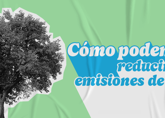 reducir las emisiones de co2