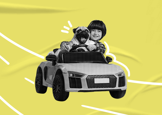 seguro de coche a terceros ampliado