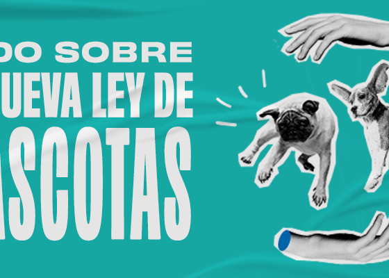 Nueva Ley de Bienestar Animal